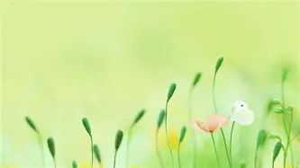 金年会官方网站-离谱！多特蒙德造点机会风云突变浙江稠州关键时刻再遭质疑，明尼苏达森林狼围绕荷甲伤情更新的简单介绍